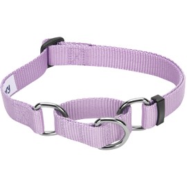 Blueberry Pet Essentials Martingale Safety Training Dog Collar, Lavender, Small, Heavy Duty Nylon Adjustable Collars for Dogs