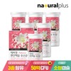 Everfit 에버핏 편안해질 유산균 6박스 / 50억보장 신바이오틱스 Everfit Comfortable