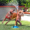 The Wave - The Ultimate Interactive Water Toy for Dogs
