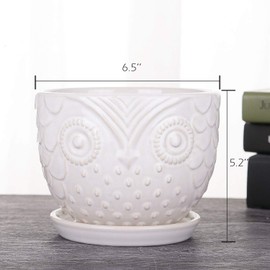 VanEnjoy 6.5 Inch White Owl Ceramic Planters Plant Pot for Medium Plant, Succulent, with Saucer