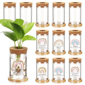 Baderke 12 Packs Boho Thank You Gift Appreciation Gift Plastic Plant Propagation Vase with Bamboo Tray Desktop Plastic Planter Vase for Coworkers Employee Teacher Nurse Indoor Office Home Decor Gifts
