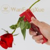 Garden Pruning Shears Kit with 1Pcs Red Metal Rose Leaf