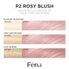 L'Oréal Paris Feria Pastels Hair Color, P2 Rosy Blush (Smokey