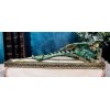 Medieval Celtic Green Dragon Roaring Incense Burner Holder Decorative Figurine