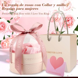 Cúpula de Acrílico con Rosa Eterna, Collar Encantado, Diseño de La Bella y la Bestia, 9 Rosas, Regalo para Mamá, Mujer, San Valentín, Navidad, Rosado (Rosa)