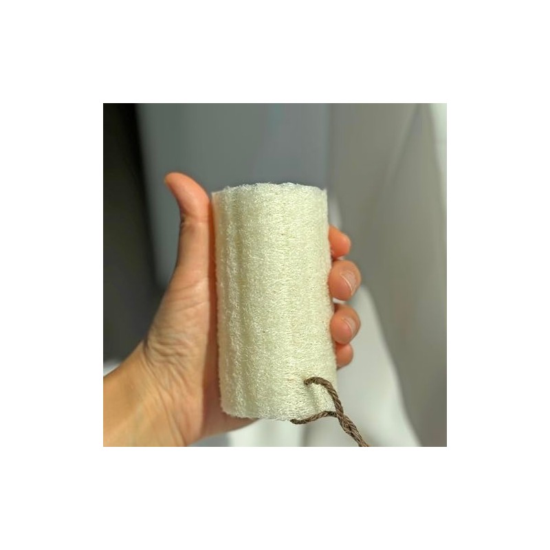 Esponja Exfoliante Corporal Lufa Natural Cuidado Piel Baños Spas Duchas
