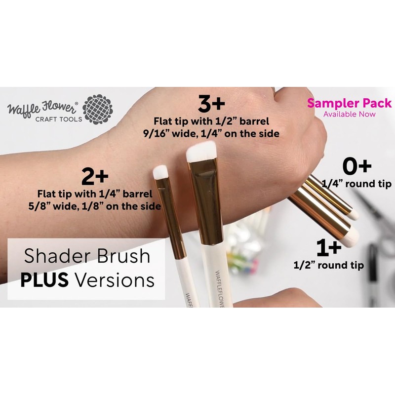 Waffle Flower Shader Brush 2+ (15/pk)
