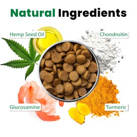 Petsology Advanced Joint Care for Dogs - Glucosamine Chondroitin MSM - Supports Hip & Joint Mobility - Vet Formulated - Made in USA