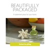 AGRARIA AirEssence & PetiteEssence Flower and Reed Diffuser Set, Luxury