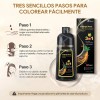 Kaisasa Shampoo Con Tinte Cubre Canas Natural Jengibre 500ml-Negro