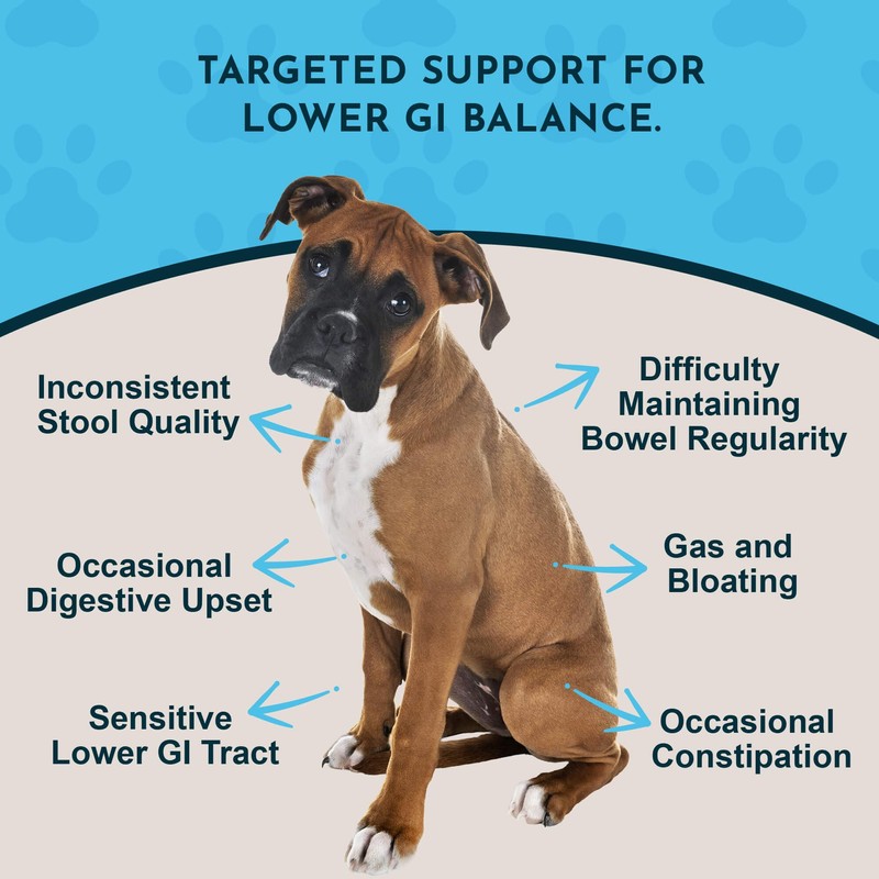 Animal Essentials Colon Rescue for Dogs & Cats - Constipation