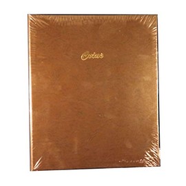 Dansco Stock Book Coin Album for 2 x 2 Holders #7000