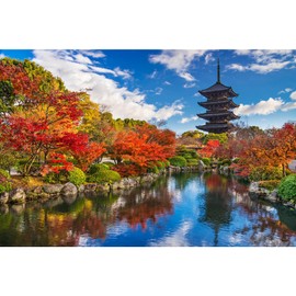 Toji Pagoda Buddhist Temple Japanese Landmark Jigsaw Puzzle for Adults and Kids | Difficult 1000 Piece Puzzle | Interactive Brain Teaser, Educational Toys & Games, Quarantine Gifts | 28 x 20 Inches