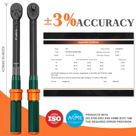 NADOKHI 3/8-Inch Drive Click Torque Wrench, 10-100 Ft.Lb, 72-Tooth Dual-Direction Adjustable Torque Wrench, ±3% High Precision for Bicycle, Motorcycle, Car Maintenance