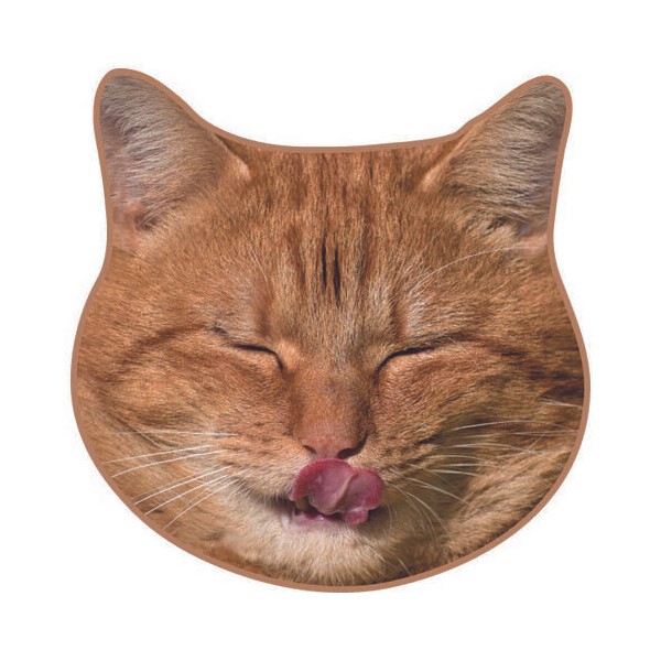 HEMING'S Tongue Out Cat Realistic Motif Towel Funny Cat Towel