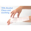 Advanced Large 75% Alcohol Hand Sanitizing Wipes, 4 Packs of