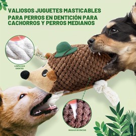 LEGEND SANDY - Juguetes Masticables y Juegos para Perros, Juguete para Perros (5 unidades)