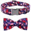 Bobo Rainbow Dog Collar, 4 of July Independence Day American