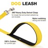 Dog Harness and Leash Set,4 Point Adjustable Reflective Dog Vest