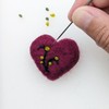 Bergin & Bath Needle Felting Kit - Autumn, Learn to