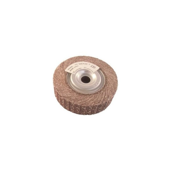 TRUSCO TFW10025240 Polishing Wheel, Outer Diameter 3.9 inches (100 mm),