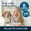 2Pcs Collar para Perro,Collar Impermeable, Cuello Ajustable,para Perro Chico,para medianos,