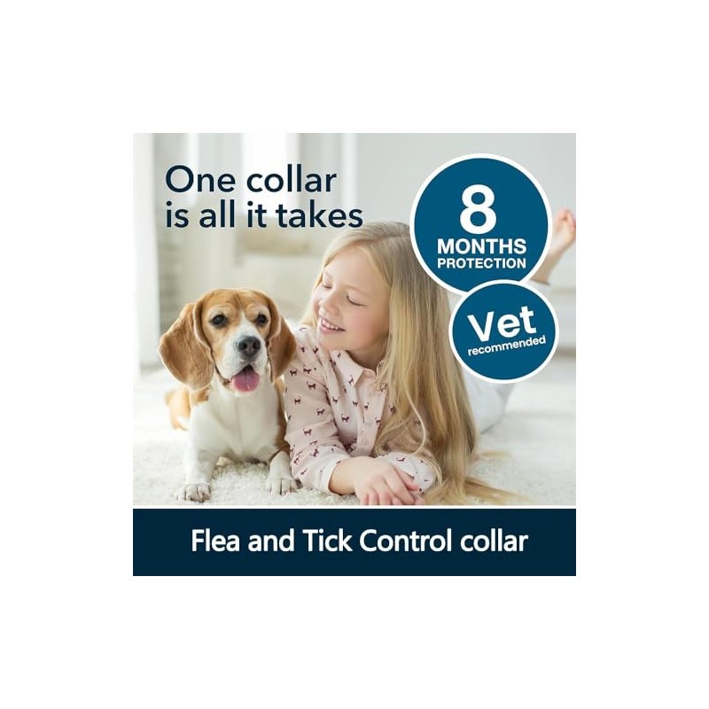 2Pcs Collar para Perro,Collar Impermeable, Cuello Ajustable,para Perro Chico,para medianos,