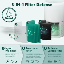 Core 300 Filter Replacement Fit for Levoit Core 300 Core 300-RF-TX (Green), 3-in-1 H13 True HEPA and Activated Carbon Odor Absorber Fiter - 2 Pack