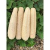 Esponjas naturales de lufa biodegradables para el cuerpo, esponja exfoliante