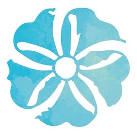 HOLISTICA - Flower Complex Holistic Fears