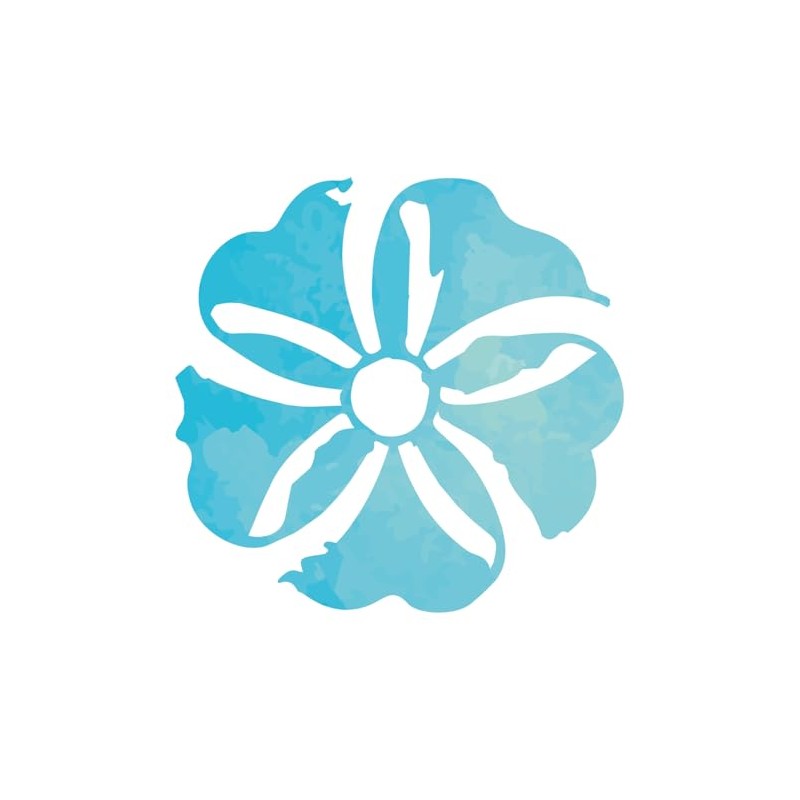 HOLISTICA - Flower Complex Holistic Fears