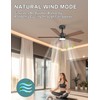 Ohniyou 48'' Ceiling Fans with Lights and Remote, 6 Speeds,