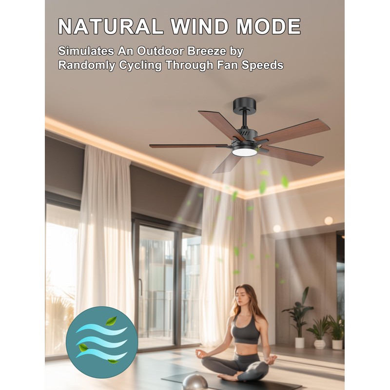 Ohniyou 48'' Ceiling Fans with Lights and Remote, 6 Speeds,