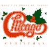 Chicago Christmas-What'S It Gonna Be,Santa?