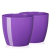 Tymar Pack of 2 Round Shape Planter (Purple, Diameter 14