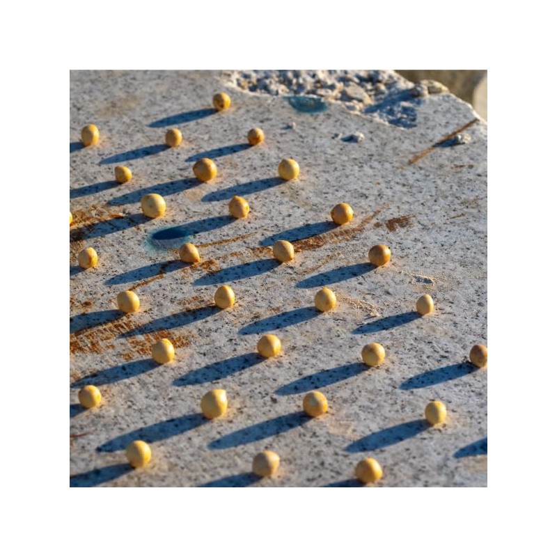 SHIRO タマヌオイルインセラム 30mL