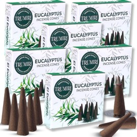 Eucalyptus Incense Cones - Total 60 Cone Incense - Six Packs of 10 Insence Cones - Incense Cones Scented - Cone Incense Scents - Insense Cones - Inscent Cones