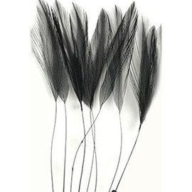 Black Stripped Hackle Feathers - Fascinators, weddings.4 inches approx x 8