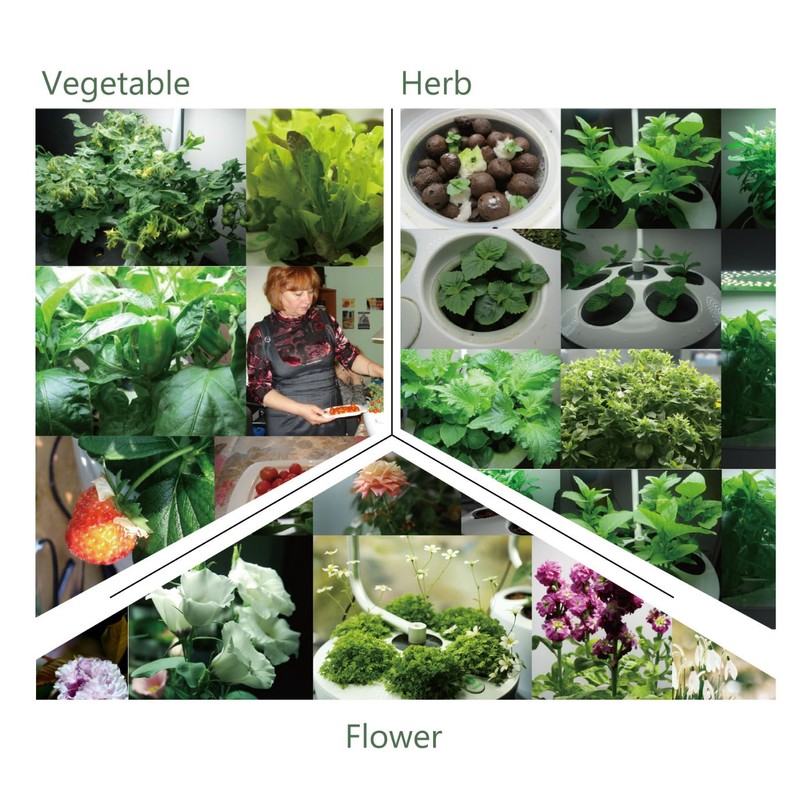 Smarson Indoor LED Light Hydroponic Garden, Grow Herbs, Vegetables and