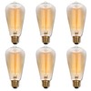 Westinghouse Lighting 0413220 60 Watt ST20 Amber Timeless Vintage Inspired