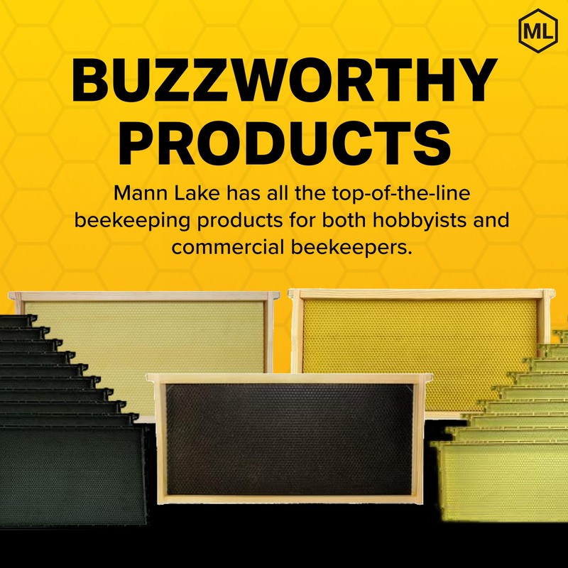 Mann Lake Premium Beekeeping Frames, Fully Assembled, Deep Rite-Cell Hive