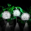 Solar Powered Outdoor Lamp Garden Lights Stake Landscape Lamp Holiday