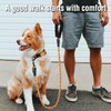 Unbranded Dog Leash 5/6 FT with Comfortable Padded Handle and