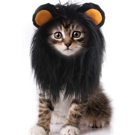 Cat Wig Funny Cute Cat Costume Hat Lion Mane Accessories Dress Up Clothing Festival Party (Black, Small)