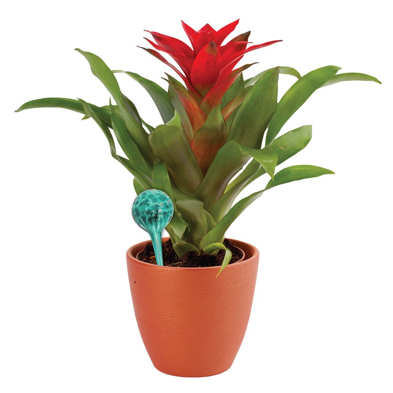 Maxam Wyndham House, 4 Piece Watering Globe Set, Colorful Hand-Blown