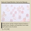 SATORIE Organic Castor & Frankincense Oil with Rose Quartz Rollerball