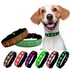 DOGLED LED Dog Collar, USB Rechargeable, 15 Light Modes, Multi-Color