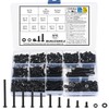 975 Piece Allen Screws Nuts Set, M3 Screws Set, Pan