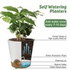YNNICO Indoor Self Watering Planters with Drainage Holes and Saucers,