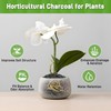 2 Quarts Horticultural Charcoal for Indoor Plants-Hardwood Potting Soil Amendment